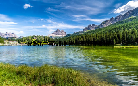 光照吊兰喜欢散射光, 不宜直射阳光