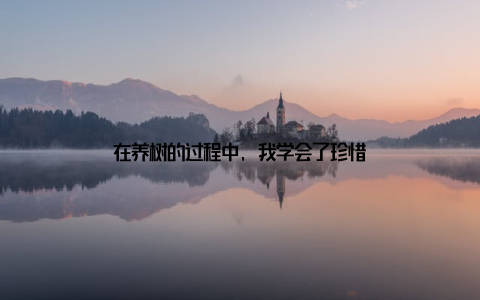 在养树的过程中, 我学会了珍惜