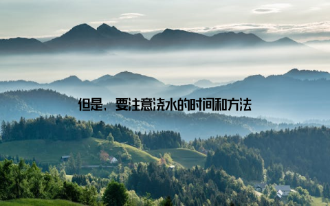 但是, 要注意浇水的时间和方法