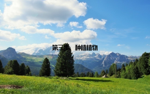 第三步, 种植植物