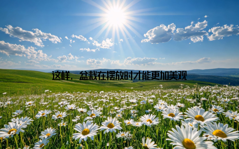 这样, 盆栽在摆放时才能更加美观