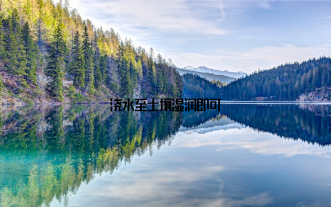 浇水至土壤湿润即可