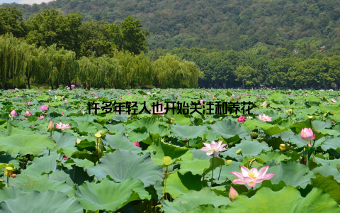 许多年轻人也开始关注和养花