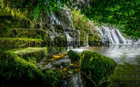 浇水栀子花喜湿润环境, 但忌水涝