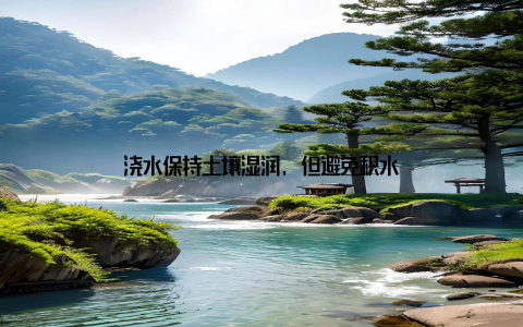 浇水保持土壤湿润, 但避免积水