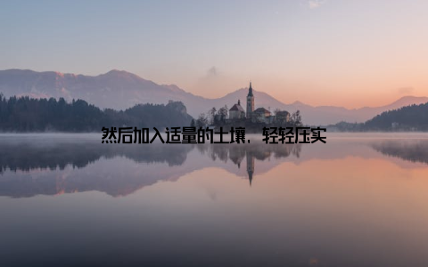 然后加入适量的土壤, 轻轻压实