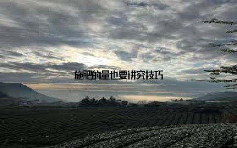 施肥的量也要讲究技巧