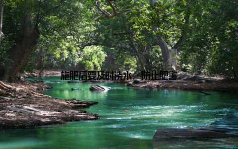 施肥后要及时浇水, 防止肥害