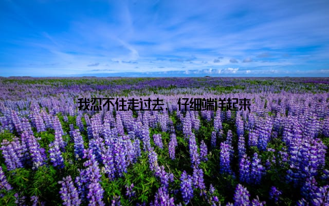 我忍不住走过去, 仔细端详起来