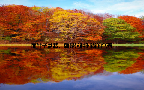 而竹子盆栽, 就是这种时尚的代表