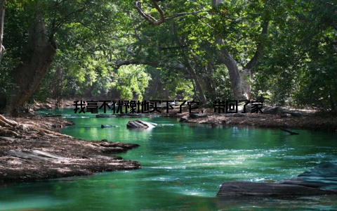 我毫不犹豫地买下了它, 带回了家