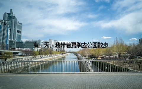 有一天, 我带着夏鹃去公园散步