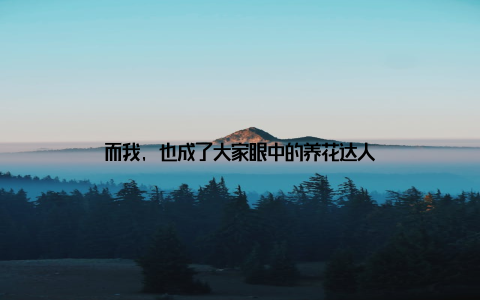 而我, 也成了大家眼中的养花达人