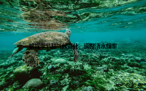 根据季节和气候变化, 调整浇水频率