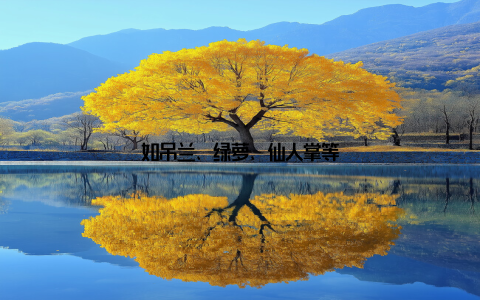 如吊兰、绿萝、仙人掌等