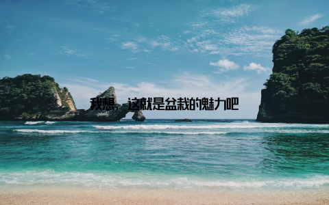 我想, 这就是盆栽的魅力吧