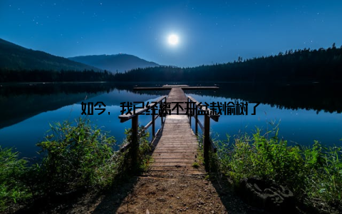 如今, 我已经离不开盆栽愉树了