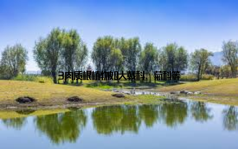 3肉质根植物如大戟科、菊科等