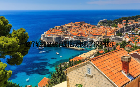 这个轮胎盆栽乐园给我带来了很多快乐