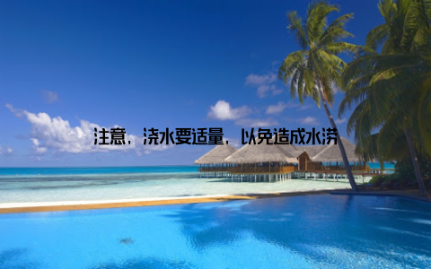 注意, 浇水要适量, 以免造成水涝