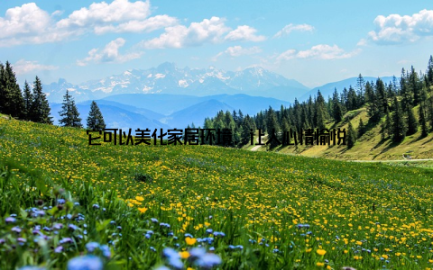 它可以美化家居环境, 让人心情愉悦