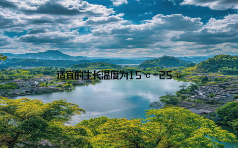 适宜的生长温度为15℃-25℃