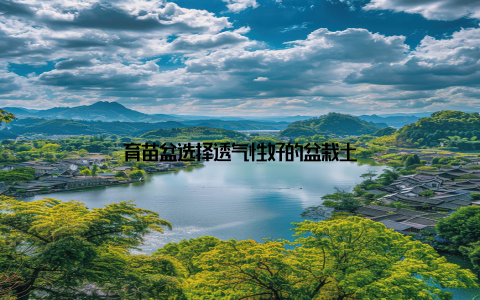 育苗盆选择透气性好的盆栽土