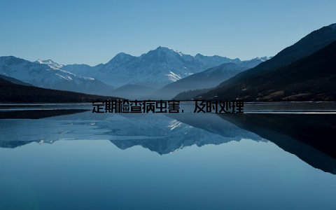 定期检查病虫害, 及时处理