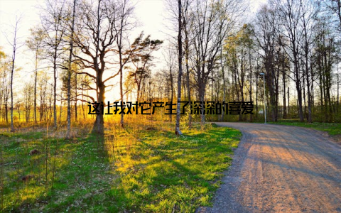 这让我对它产生了深深的喜爱