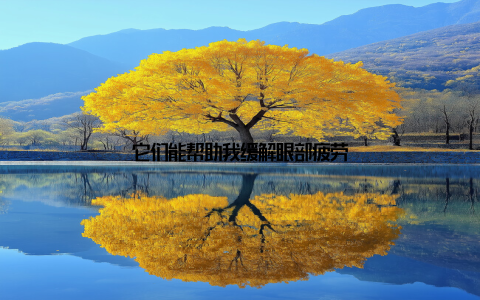 它们能帮助我缓解眼部疲劳