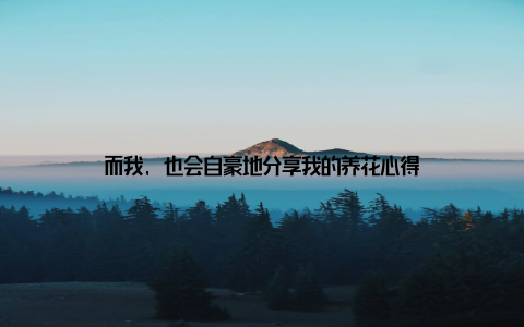 而我, 也会自豪地分享我的养花心得