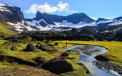 根据家居环境选择适合的植物