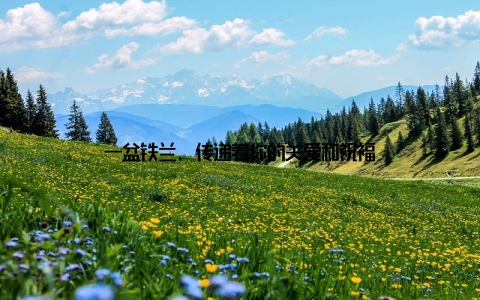 一盆铁兰, 传递着你的关爱和祝福