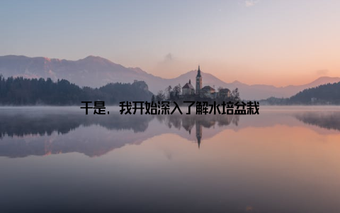 于是, 我开始深入了解水培盆栽