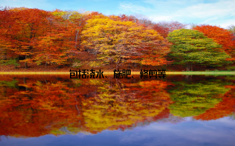 包括浇水、施肥、修剪等