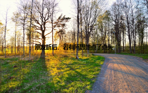 朋友听后, 若有所思地点了点头