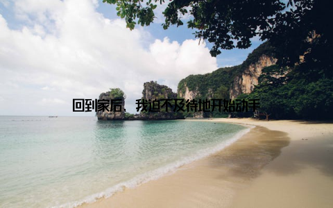 回到家后, 我迫不及待地开始动手