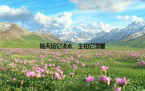 每天给它浇水, 生怕它渴着