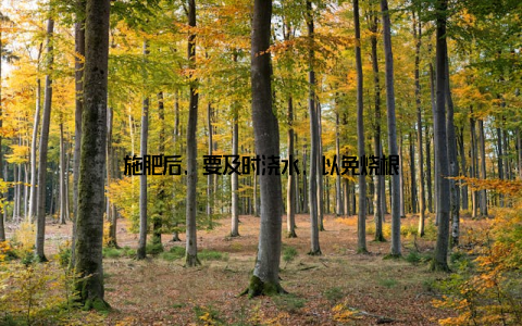 施肥后, 要及时浇水, 以免烧根