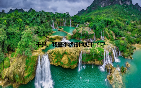 于是, 我毫不犹豫地买下了它