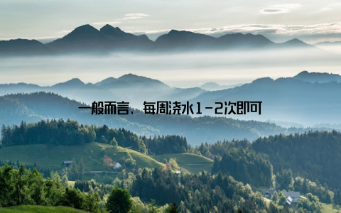 一般而言, 每周浇水1-2次即可