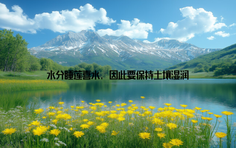 水分睡莲喜水, 因此要保持土壤湿润