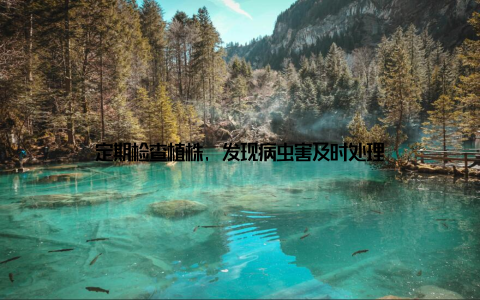 定期检查植株, 发现病虫害及时处理