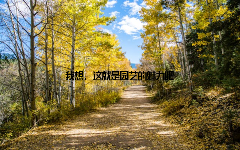 我想, 这就是园艺的魅力吧