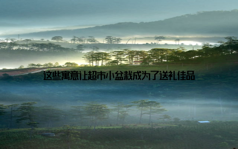 这些寓意让超市小盆栽成为了送礼佳品