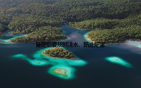 施肥后要及时浇水, 防止肥害