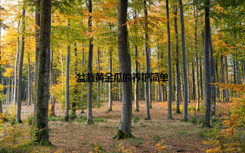 盆栽黄金瓜的养护简单