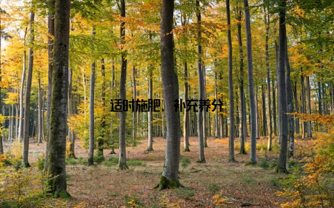 适时施肥, 补充养分