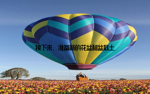 接下来, 准备新的花盆和盆栽土