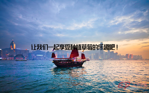 让我们一起享受种植草莓的乐趣吧!